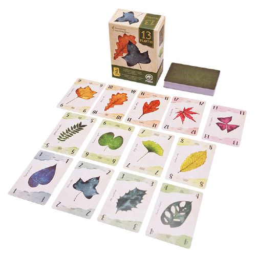 Jogo 13 Plantas - Cranio | Mebo - Image 2