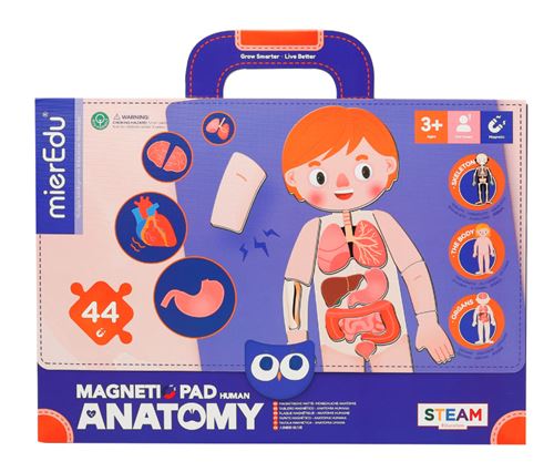 Peças Magnéticas Magnetic Pad: Anatomia Humana - mierEdu | Sig Toys