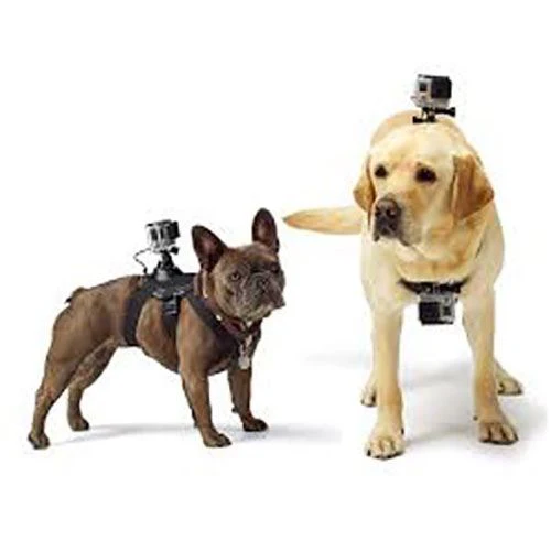 Colete para Cão Photo Adventure NMO-122 para GoPro Hero 3+/3/2/1