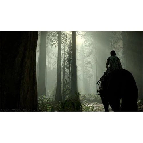 Shadow of the Colossus - PS4 - Image 14