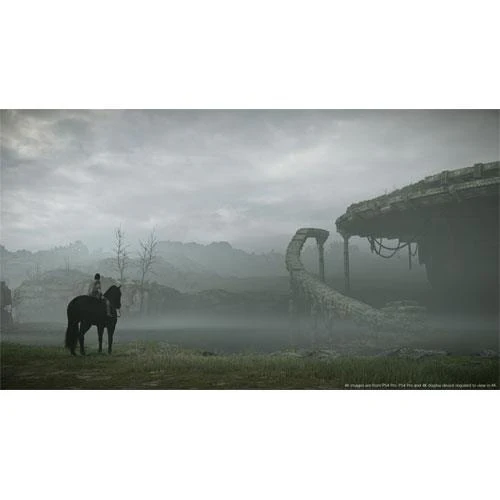 Shadow of the Colossus - PS4 - Image 16