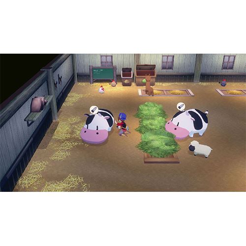 Story of Seasons: Grand Bazaar - Nintendo Switch 2 - Image 2