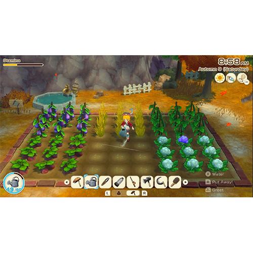 Story of Seasons: Grand Bazaar - Nintendo Switch - Image 3
